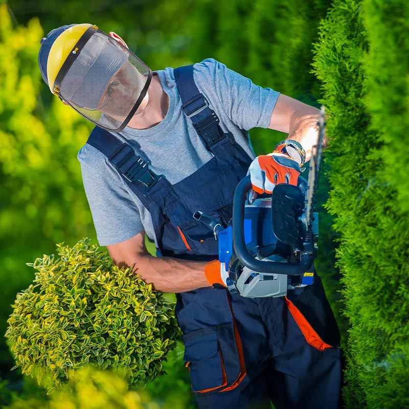 🌿60% de réduction pour une durée limitée👓 Écran facial de protection pour le jardinage 🌼🛡️ - Image 2
