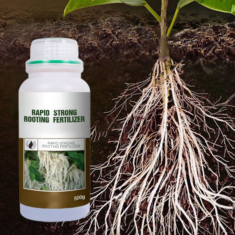 🌿 Stimulez la Croissance de Vos Plantes – Engrais Spécial Racines avec Offre 2 + 1 Gratuit ! 🌱💧