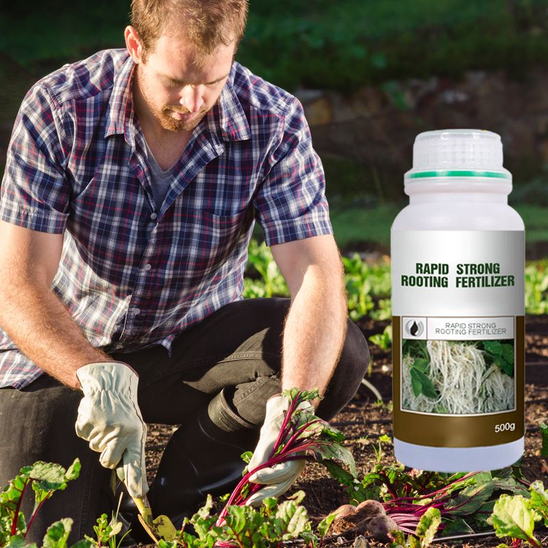 🌿 Stimulez la Croissance de Vos Plantes – Engrais Spécial Racines avec Offre 2 + 1 Gratuit ! 🌱💧 - Image 2