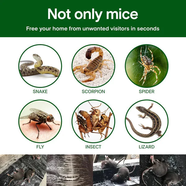 ⏳Spécial à durée limitée⏰Couverture domestique mono-tissée pour souris collante et piège solide🐁 - Image 4