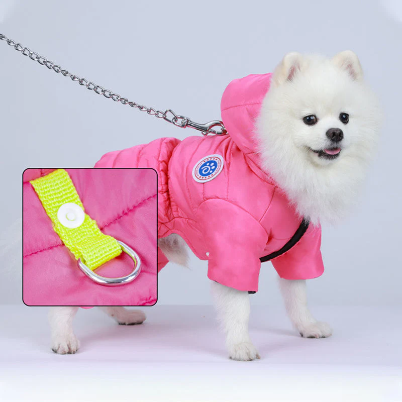📢📢50 % de réduction !!!🎅🎄 Combinaison Hiver pour Chien - Polaire Douce & Fermeture Éclair, Idéale pour Garder Votre Animal au Chaud ✨ - Image 4