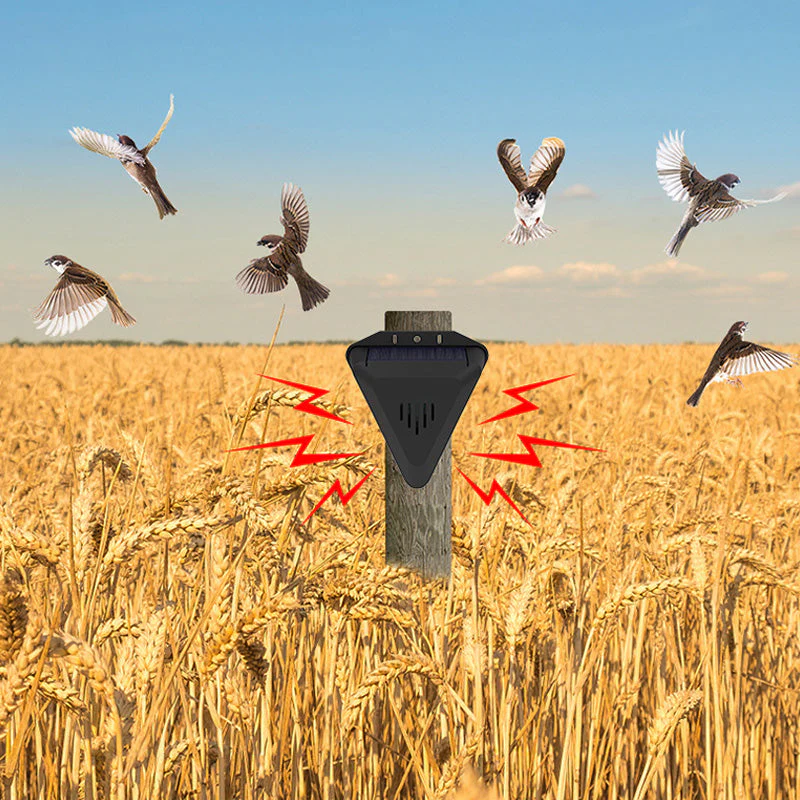 🕊️✨Répulsif solaire anti-oiseaux d'extérieur étanche⏳50% de réduction pour une durée limitée 🎁 - Image 9