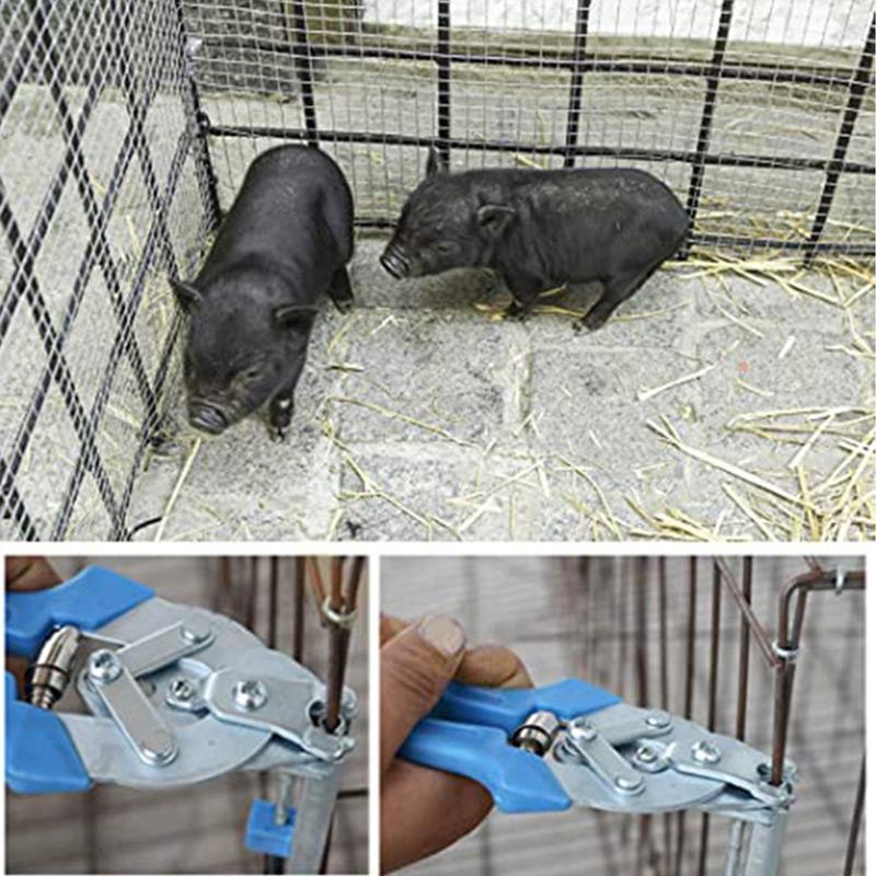 📢📢50 % de réduction !! ⏰ Pince pour cage à fils – Précision, Prise en main confortable & Pour travaux délicats ✨ - Image 4